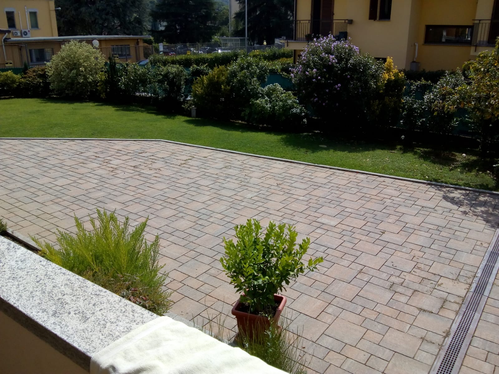 PHOTO-2018-08-24-12-35-24