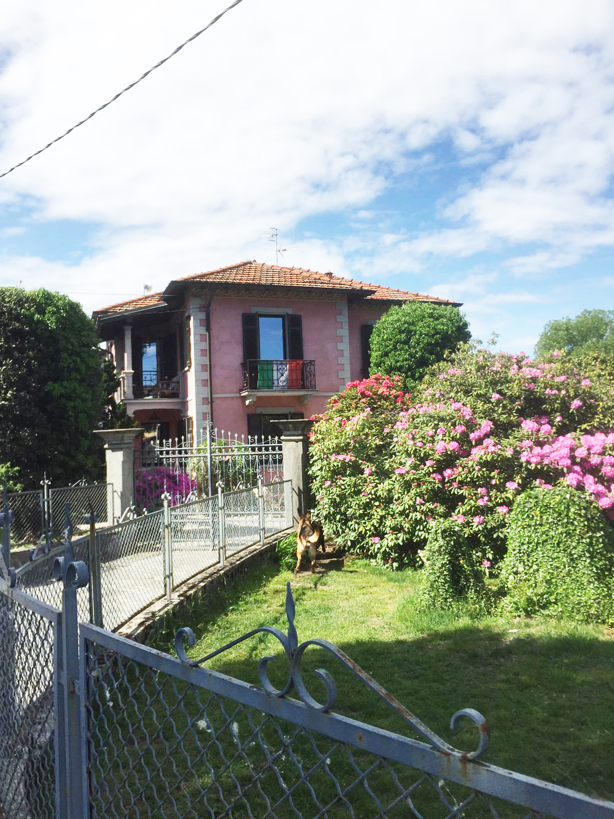 PHOTO-2021-01-06-18-36-47