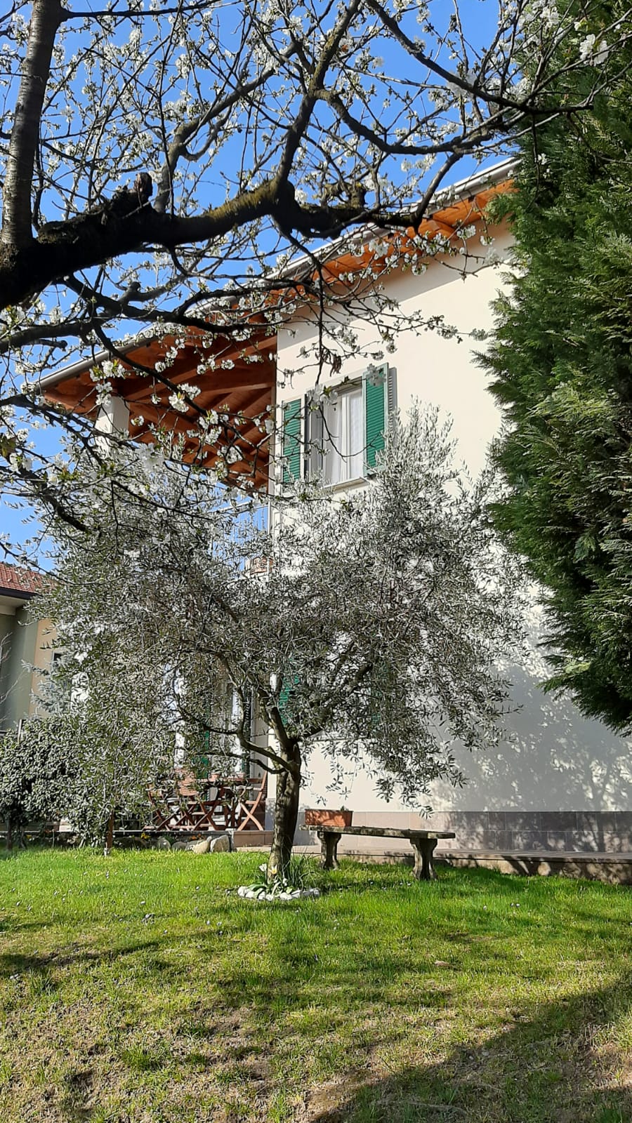 PHOTO-2021-03-29-17-26-21