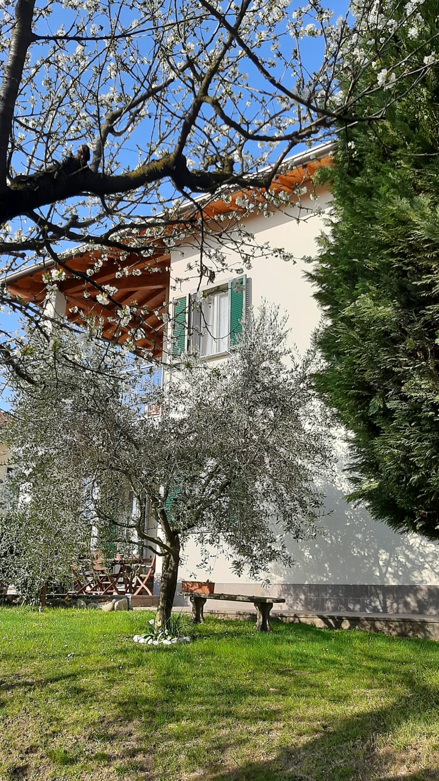 PHOTO-2021-03-29-17-26-22