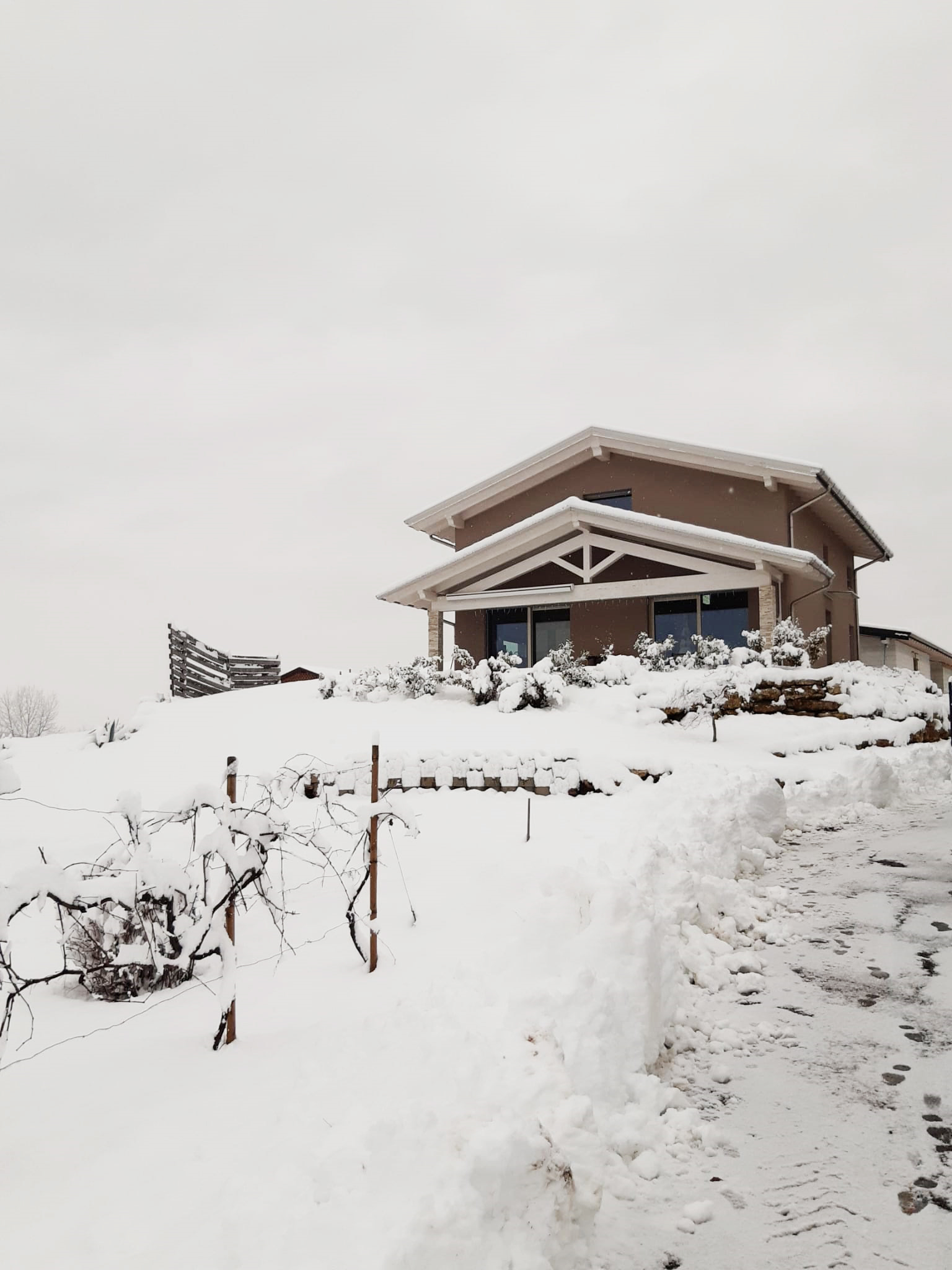 d1d62a11-6548-4ed6-aed3-3f5d84f5412a